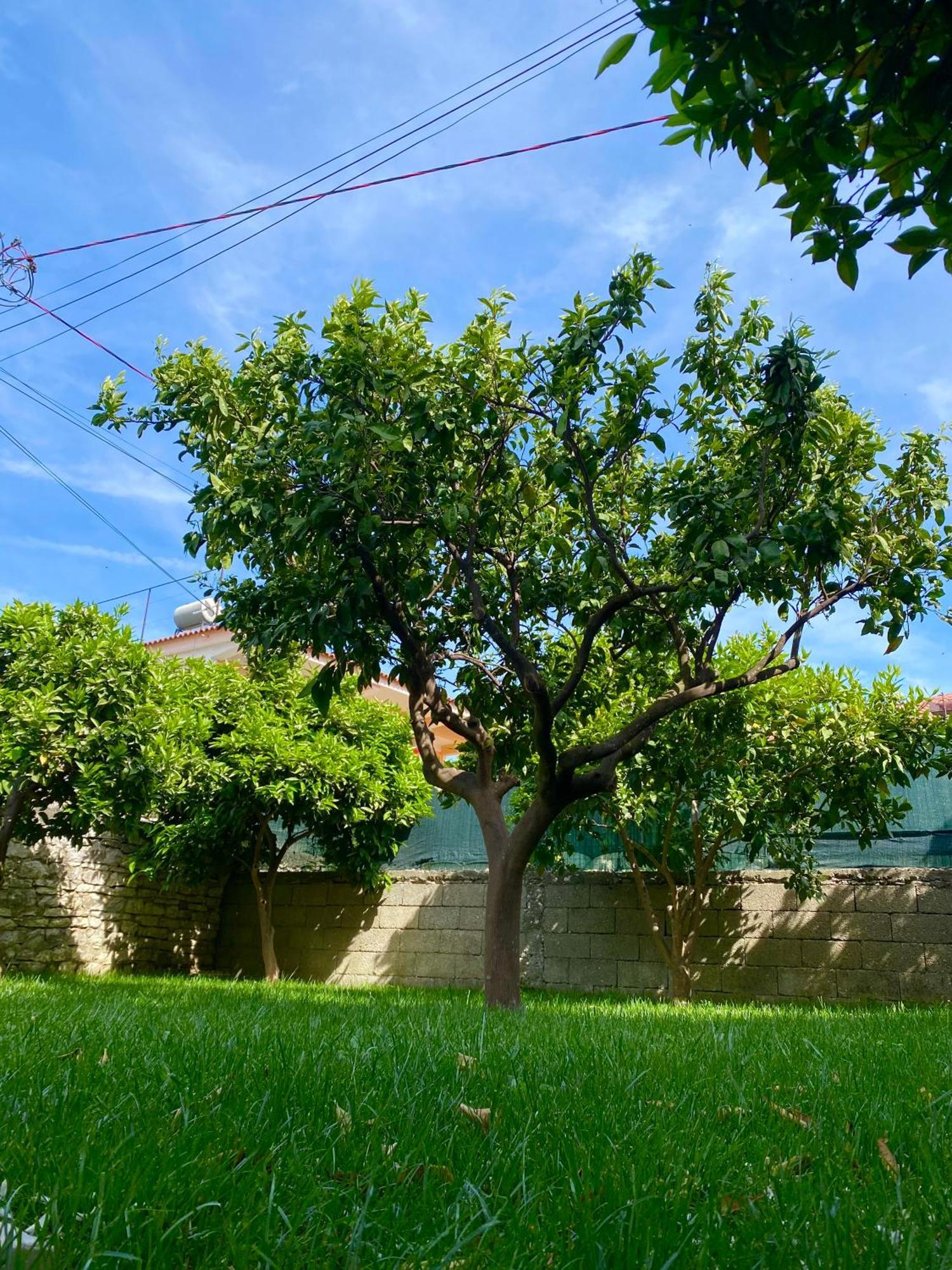 Villa Berat Buitenkant foto