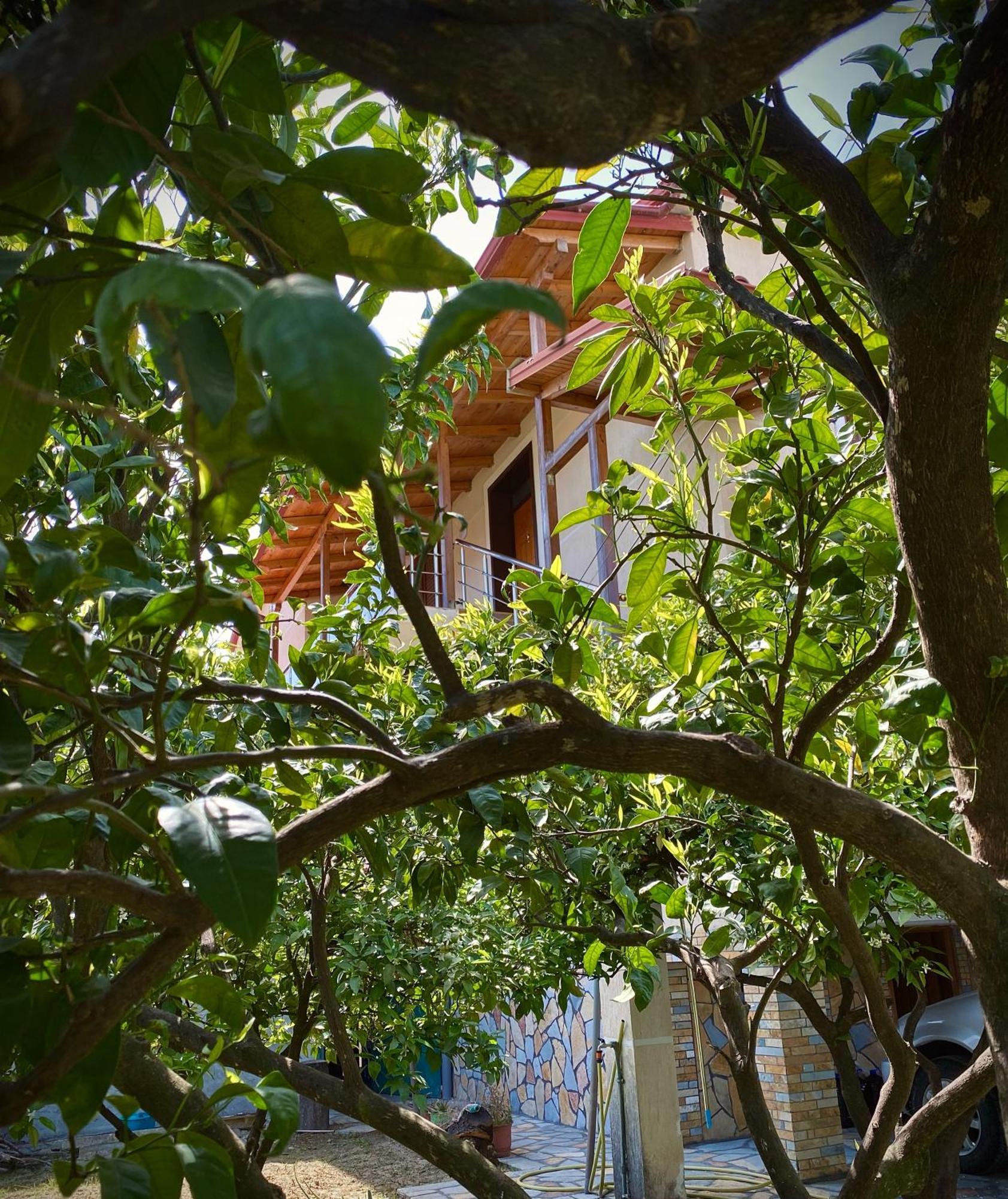 Villa Berat Buitenkant foto